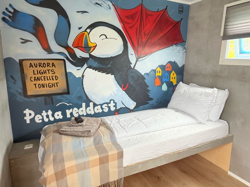 Lava Show & Northern Lights Cruise